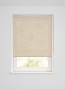 HEMA Rolgordijn lichtdoorlatend metallic champagne (champagne)