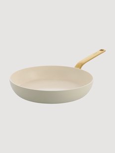 Braadpan Evolution met antiaanbaklaag