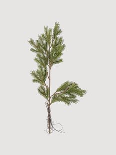 Kunstbloemen Pine, 3-delig