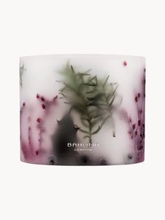 Handgegoten 3-lonts geurkaars Botanica (zwarte bes &amp; kaneel)