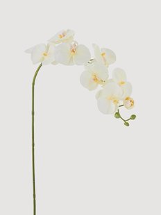 Kunstbloemen Orchidee, 2-delig