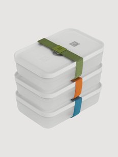 Lunchboxen Fresh &amp; Save, 3-delig