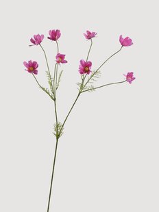 Kunsttak Cosmos, 2 stuks