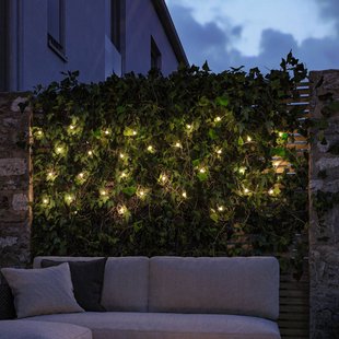 Paulmann LED lichtketting Soala, IP44 zwart, 30 lampjes