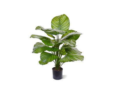 Designplants Calathea Fasciata kunstplant (h:70cm) - Laagste prijsgarantie!