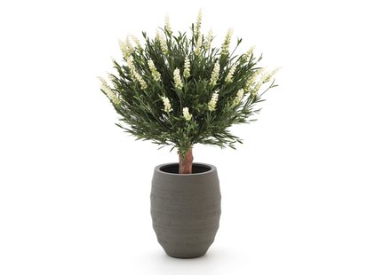 Designplants/Luca Lifestyle Lavendel bol kunstplant (h:60cm) met Bordo Tall Balloon bloempot - Laagste prijsgarantie!