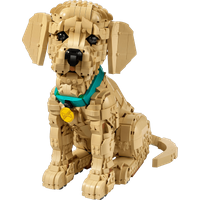 LEGO Icons Golden Retriever Puppy 11384