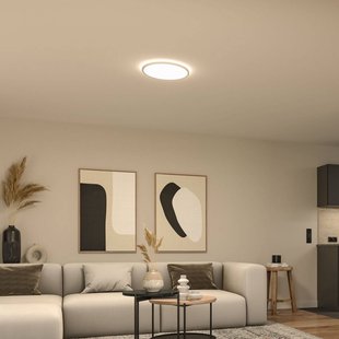 Paulmann LED paneel Atria Shine Ø40 cm wit IP20 3000K aan/uit