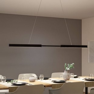 Paulmann LED hanglamp Aptare, zwart, met sensor, dimbaar