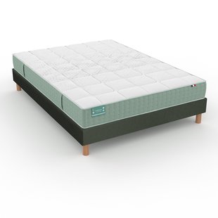 Set van matras voor gevoelige rug, 672 veren, stevig, zacht ligcomfort + bedbodem