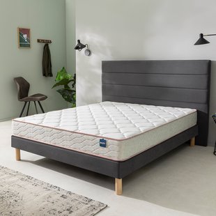 Bultex primo schuimmatras 20 cm, Succès