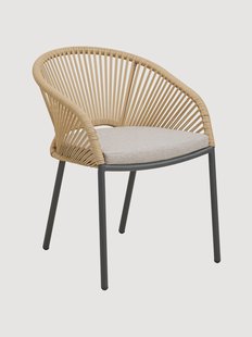 Tuin eetstoelen Novella met armleuningen, 2-delig