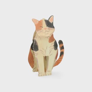 Kaart 3D met envelop, kat
