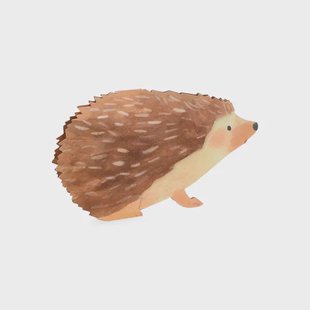 Kaart 3D met envelop, egel