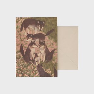 Kaart, World Animal Protection, wolven tussen heide