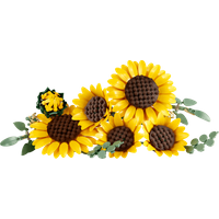 LEGO Botanicals Boeket met Zonnebloemen 11502