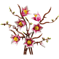 LEGO Botanicals Magnoliatakken 11510