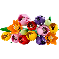 LEGO Botanicals Tulpenboeket 11501