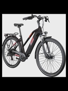 ZÜNDAPP Elektrische fiets trekking Z810 700c (Dames, Zwart/rood)