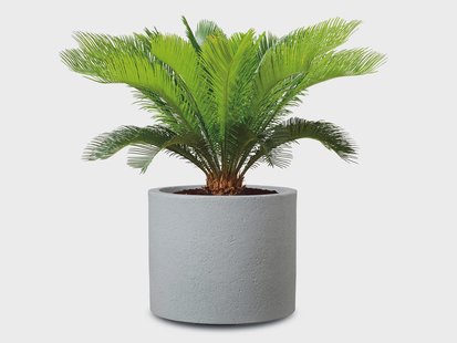 SCHEURICH Plantenbak (Grijs, Ø 50 cm)