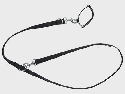 ZOOFARI Hondenhalsband en riem (Zwart, M)