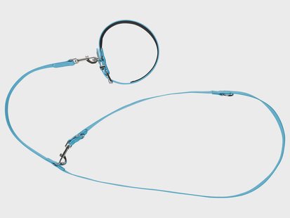 zoofari Hondenhalsband en -lijn (L)