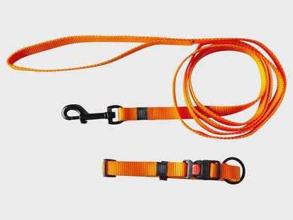 Karlie Halsband met lijn (Oranje)