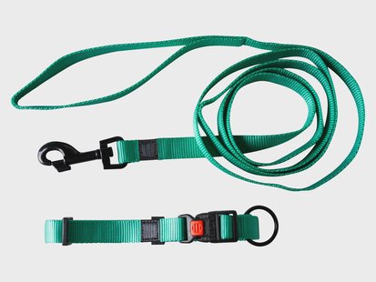 Karlie Halsband met lijn (Mint)
