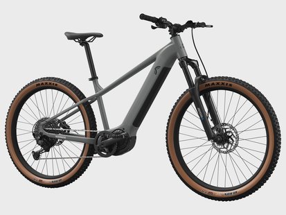 CRIVIT Elektrische mountainbike PEAK 709 (maat l (29 inch))