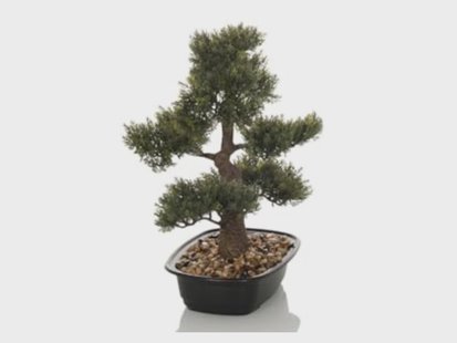 HJH OFFICE Kunstboom Bonsai 44 cm