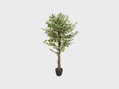 HJH OFFICE Kunstplant Ficus