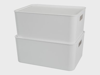 Opbergboxen met deksel 11 L - 2 stuks