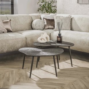 LifestyleFurn Organische Salontafel Teara Leaf Ray Metal finish, Set van 2 stuks - Brons donkerbruin