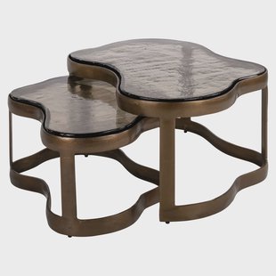 Richmond Organische Salontafel Fairfield Glas en Brass Antique, Set van 2 stuks - Goud
