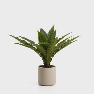 Kave Home Kunstplant Neottopteris 70cm - Groen