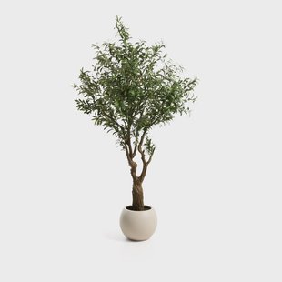 Kave Home Kunstplant Olivo Incl. witte pot, 210cm - Groen