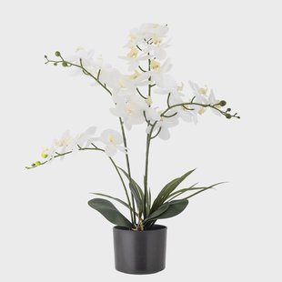 Bloomingville Kunstbloem Orchid 84cm hoog - Wit