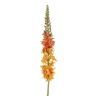 Mica Decorations kunstbloem Eremurus