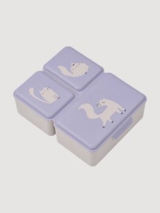 Lunchbox voor kinderen Driss