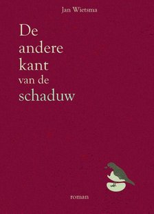 De andere kant van de schaduw