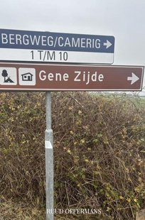 Gene zijde