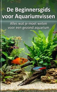 De Beginnersgids voor Aquariumvissen