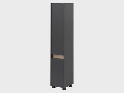 Schildmeyer Hoge badkamerkast Cosmo (1 deur (breedte 30,2 cm), Antraciet)