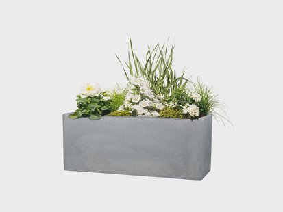 SCHEURICH Langwerpige bak (Grijs, Lengte 60 cm)