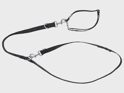 zoofari Hondenhalsband en riem (S, Zwart)