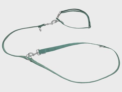 zoofari Hondenhalsband en riem (M, Groen)