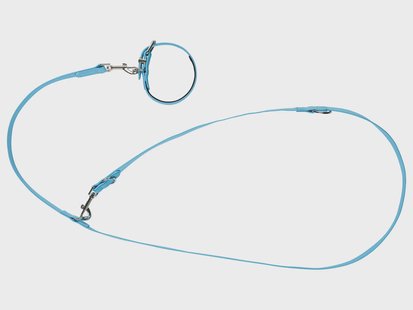 zoofari Hondenhalsband en -lijn (S)