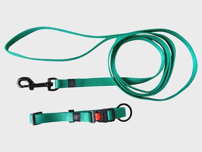 Karlie Halsband met lijn (Mint)