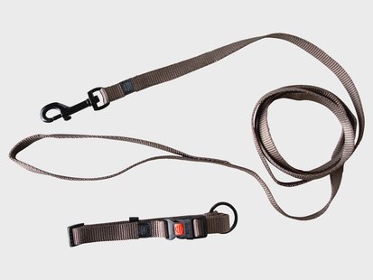Karlie Halsband met lijn (Grijs)