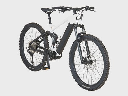 PROPHETE Elektrische mountainbike Dice 5.0